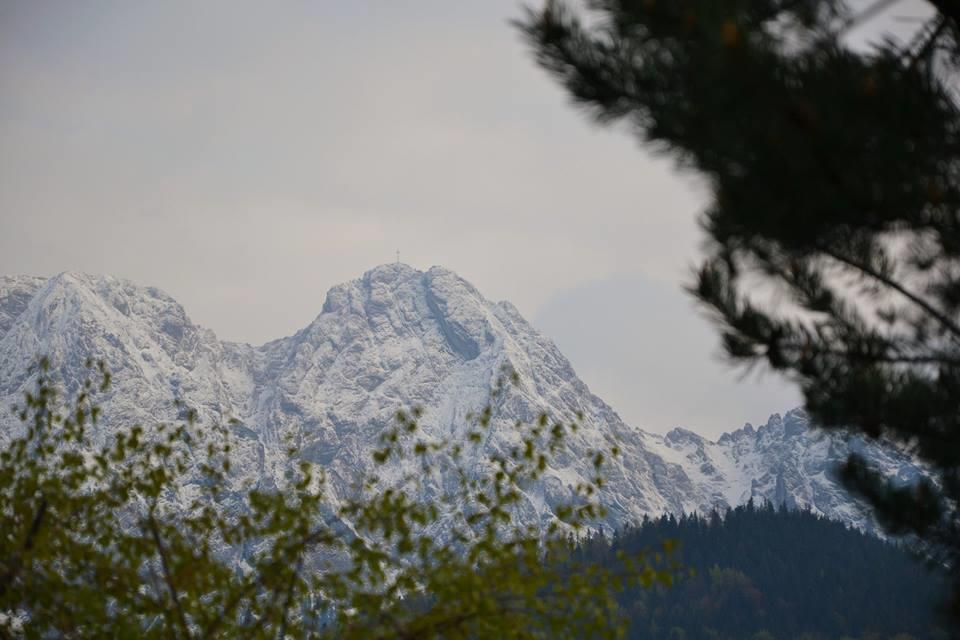 Apartament Twoj Giewont Zakopane 考斯赛力克 外观 照片